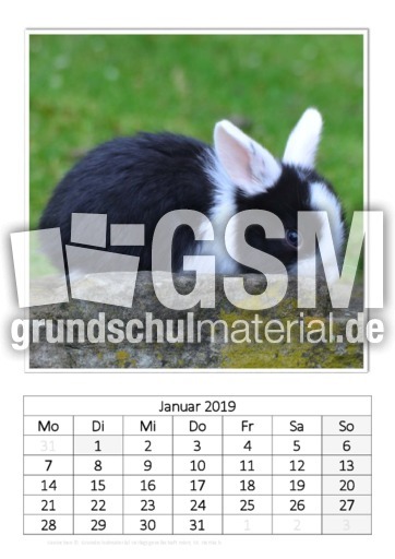 Januar_Kaninchen_1.pdf